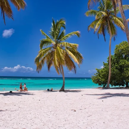 une belle plage de sable avec des plamiers
